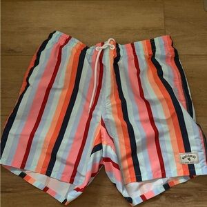 Men's Multicolor Striped Swim Shorts - Blue/Coral/Pink